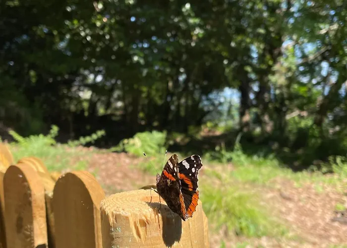 Campismo de Luxo Tenda Tipi Glamping Mare By Smart-home