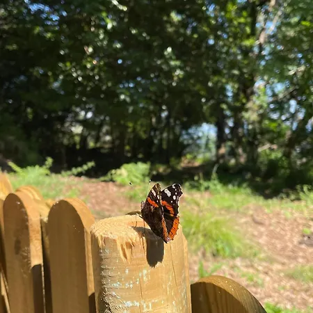 Роскошный шатер Tenda Tipi Glamping Mare By Smart-home